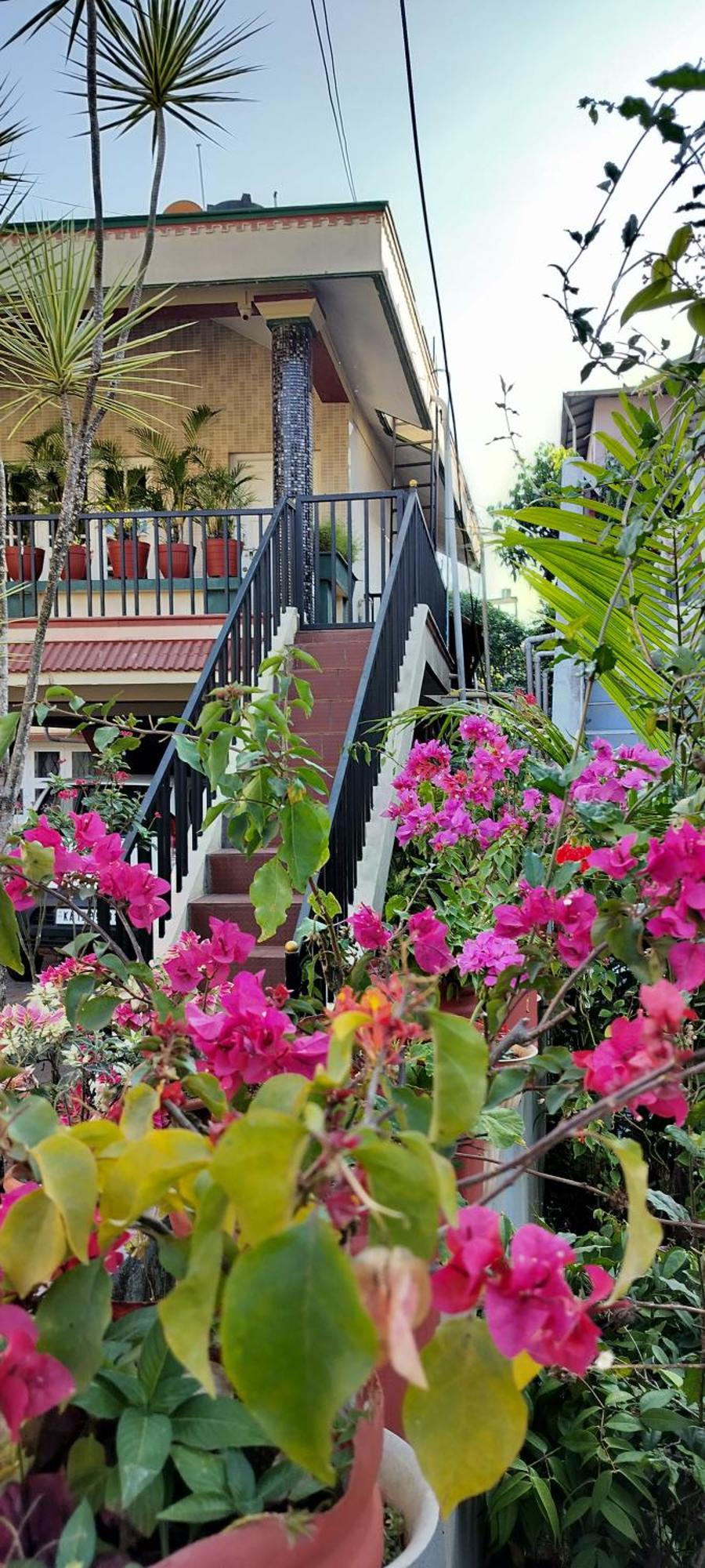 Royal Palm Homestay Tulsa Exterior foto